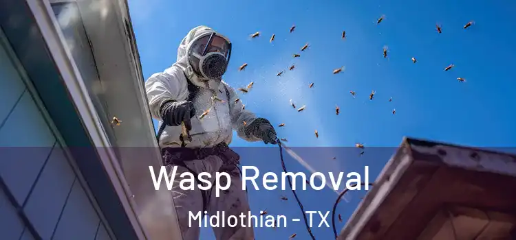  Wasp Removal Midlothian - TX