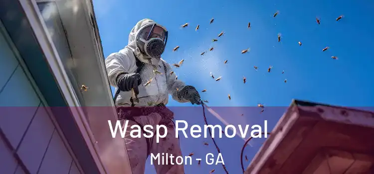  Wasp Removal Milton - GA
