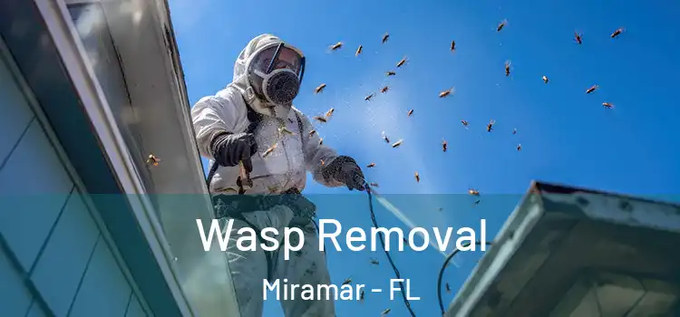  Wasp Removal Miramar - FL