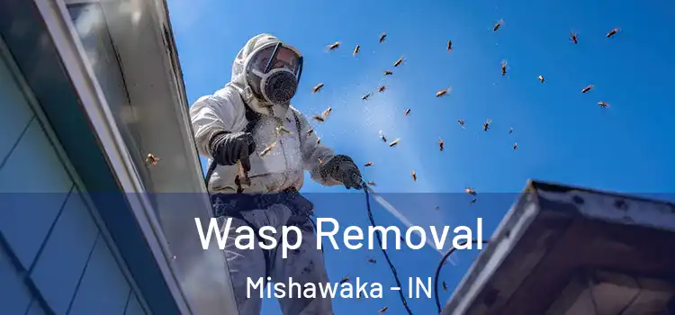 Wasp Removal Mishawaka - IN
