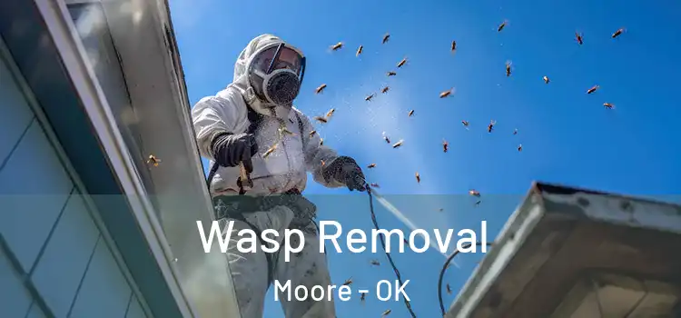  Wasp Removal Moore - OK