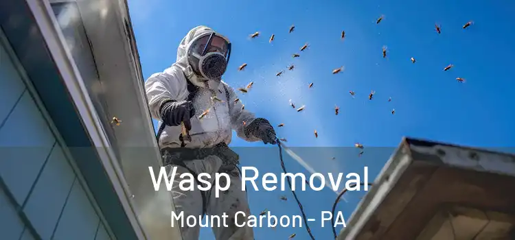 Wasp Removal Mount Carbon - PA