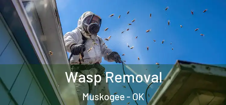  Wasp Removal Muskogee - OK
