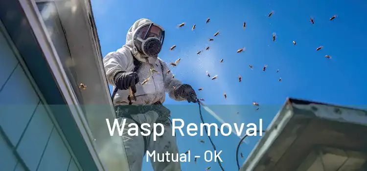  Wasp Removal Mutual - OK