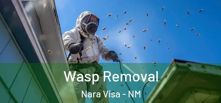 Wasp Removal Nara Visa - NM