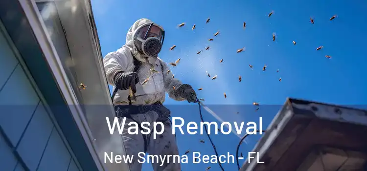 Wasp Removal New Smyrna Beach - FL