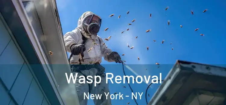  Wasp Removal New York - NY