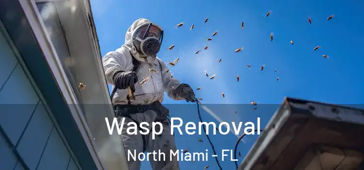 Wasp Removal North Miami - FL