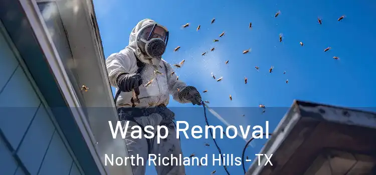  Wasp Removal North Richland Hills - TX
