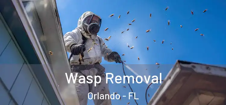 Wasp Removal Orlando - FL