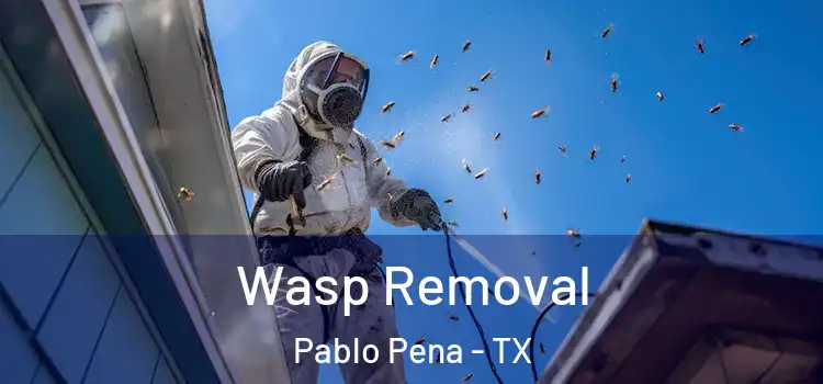 Wasp Removal Pablo Pena - TX