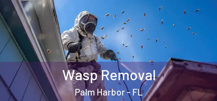 Wasp Removal Palm Harbor - FL