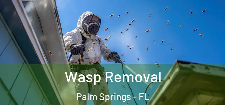 Wasp Removal Palm Springs - FL