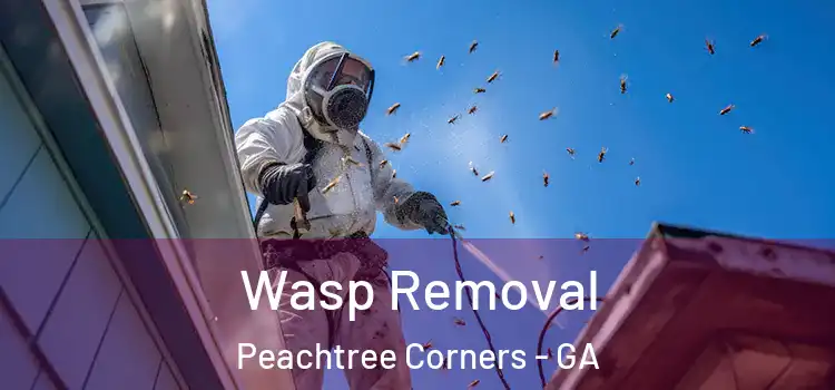  Wasp Removal Peachtree Corners - GA