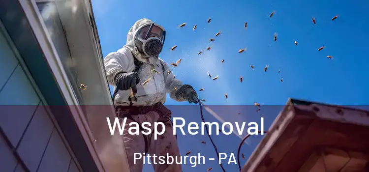 Wasp Removal Pittsburgh - PA