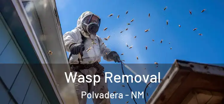 Wasp Removal Polvadera - NM