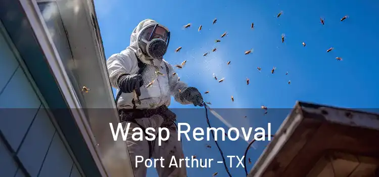 Wasp Removal Port Arthur - TX