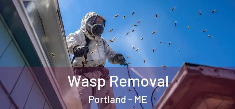 Wasp Removal Portland - ME