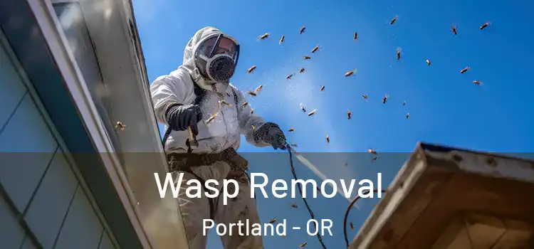 Wasp Removal Portland - OR