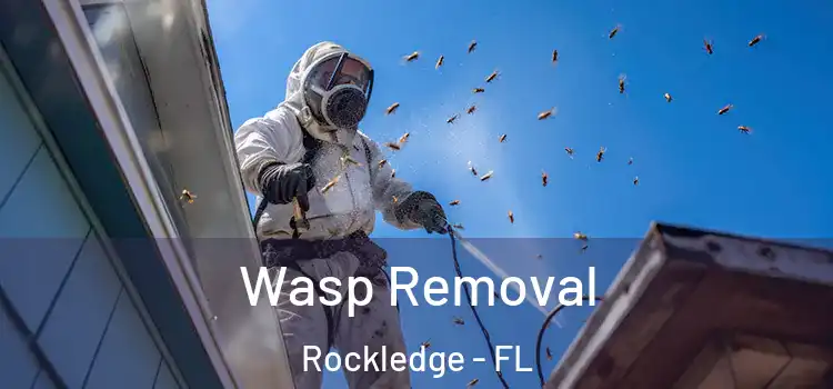Wasp Removal Rockledge - FL