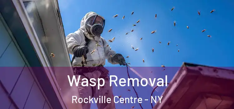  Wasp Removal Rockville Centre - NY