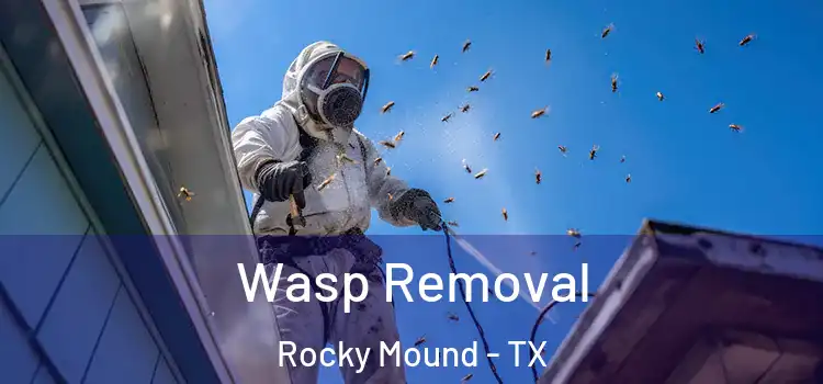  Wasp Removal Rocky Mound - TX