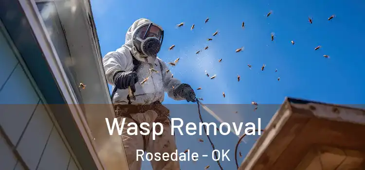  Wasp Removal Rosedale - OK