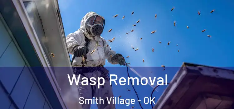  Wasp Removal Smith Village - OK