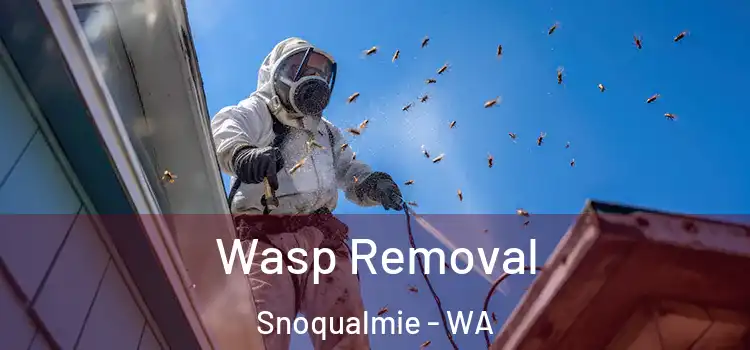  Wasp Removal Snoqualmie - WA