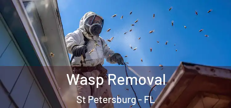 Wasp Removal St Petersburg - FL