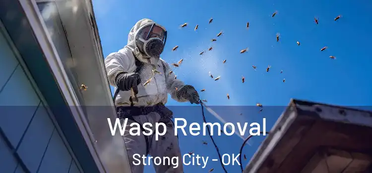  Wasp Removal Strong City - OK