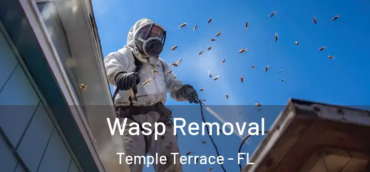Wasp Removal Temple Terrace - FL