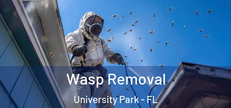  Wasp Removal University Park - FL