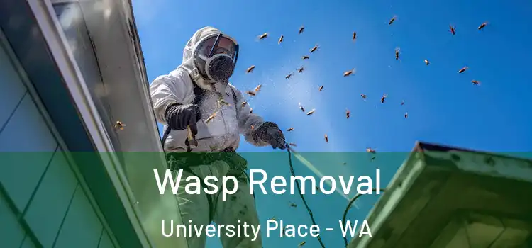  Wasp Removal University Place - WA