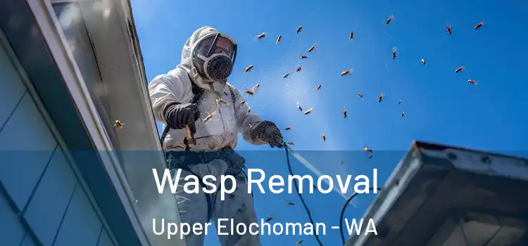  Wasp Removal Upper Elochoman - WA