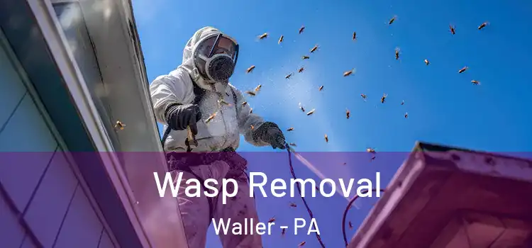 Wasp Removal Waller - PA