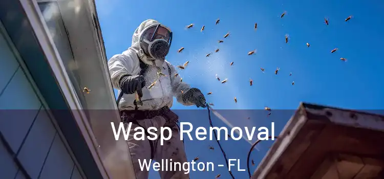 Wasp Removal Wellington - FL