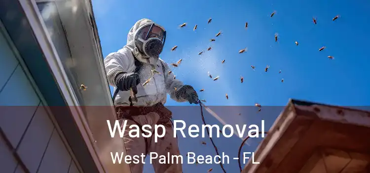  Wasp Removal West Palm Beach - FL