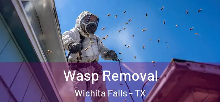 Wasp Removal Wichita Falls - TX