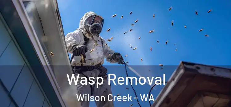  Wasp Removal Wilson Creek - WA