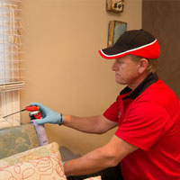 Licensed Bed Bug Exterminator in Tolstoy, SD