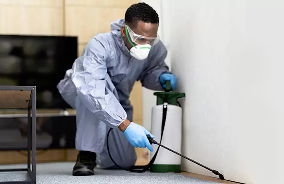 Exterminators services